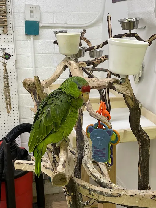 Birds, and Then Some! Picture 2