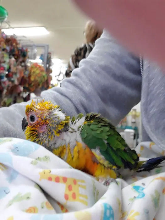 Birds, and Then Some! Picture 6
