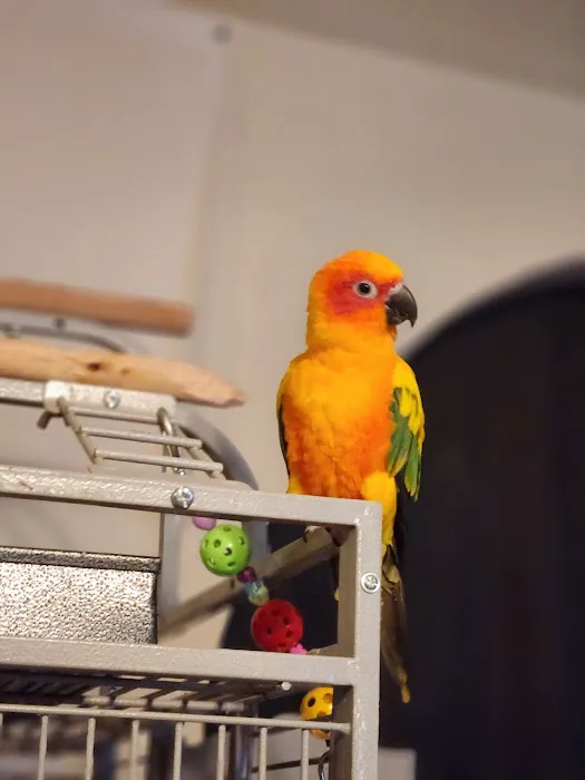 Birds, and Then Some! Picture 3
