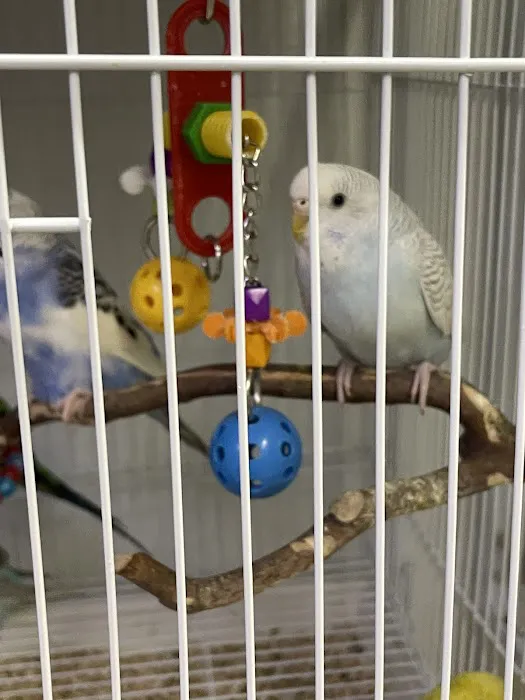 Birds, and Then Some! Picture 5