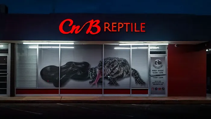 CnB Reptile Picture 3