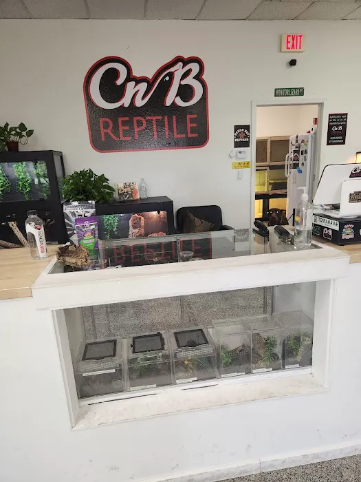CnB Reptile Picture 6