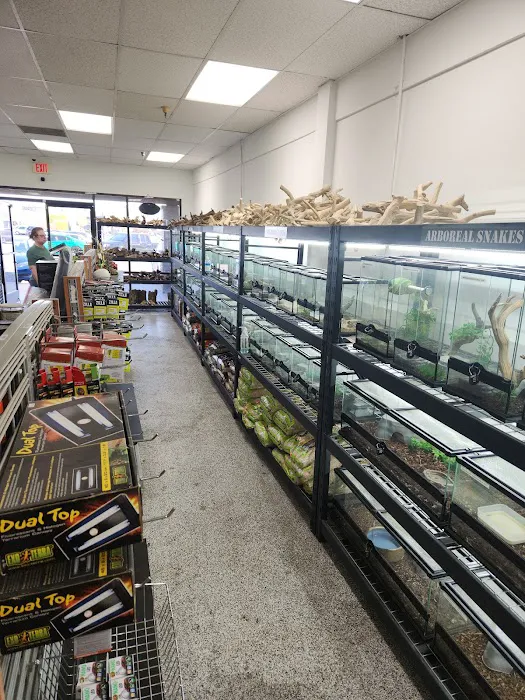 CnB Reptile Picture 9