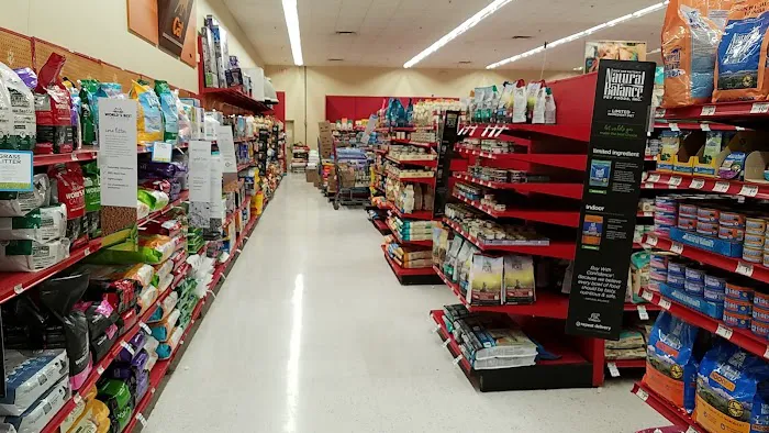 Petco Picture 2