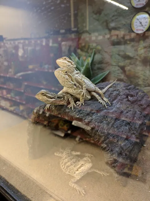 Petco Picture 7