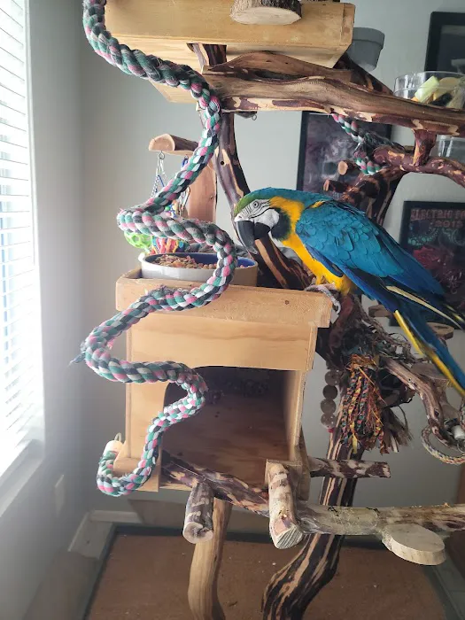 Tropic Zone Exotic Birds Picture 5