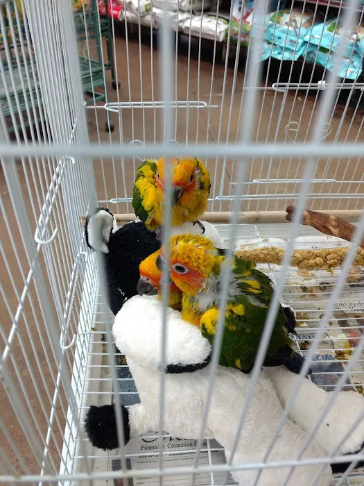 Tropic Zone Exotic Birds Picture 7