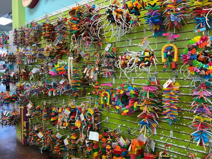 Tropic Zone Exotic Birds Picture 10