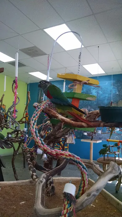 Tropic Zone Exotic Birds Picture 8