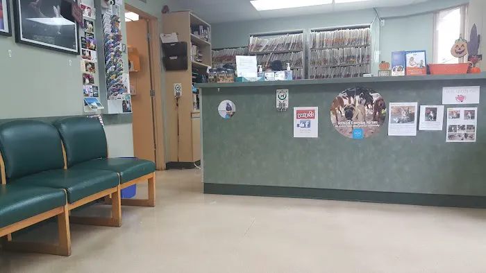 VCA Wilshire Animal Hospital Picture 3