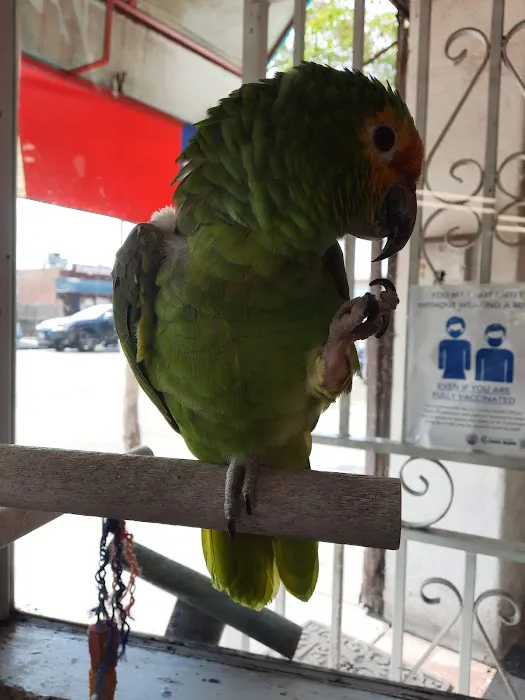 VCA Wilshire Animal Hospital Picture 2