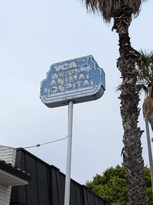 VCA Wilshire Animal Hospital Picture 4