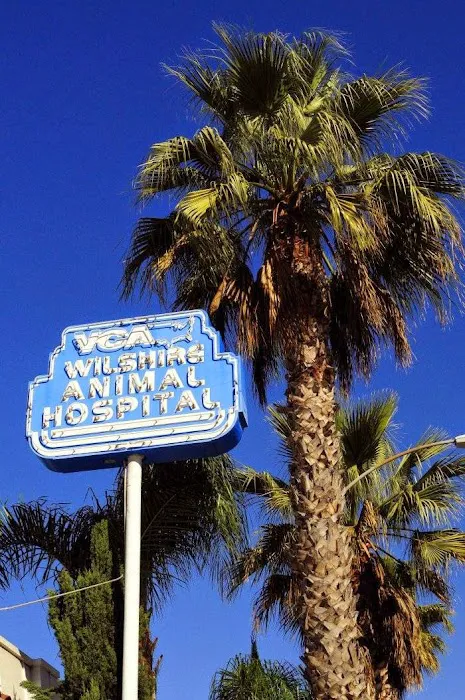 VCA Wilshire Animal Hospital Picture 6