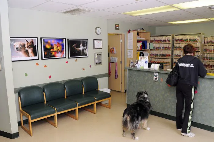 VCA Wilshire Animal Hospital Picture 5