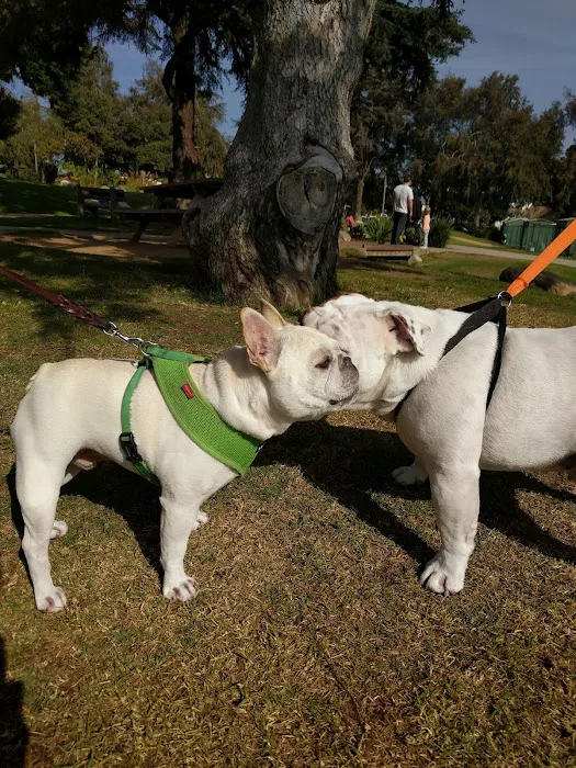 VCA Wilshire Animal Hospital Picture 8