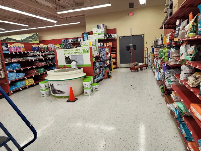Petco Picture 2