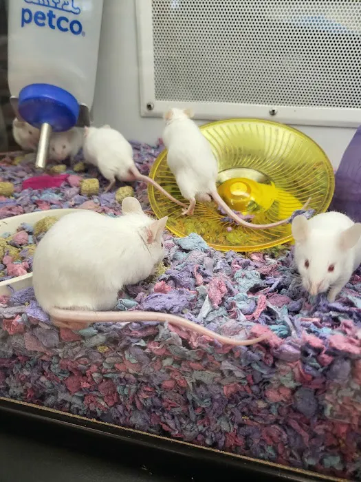 Petco Picture 5