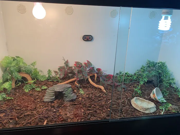 LLLReptile & Supply Phoenix Picture 3