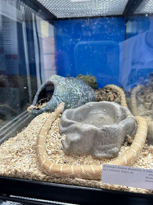 LLLReptile & Supply Phoenix Picture 2