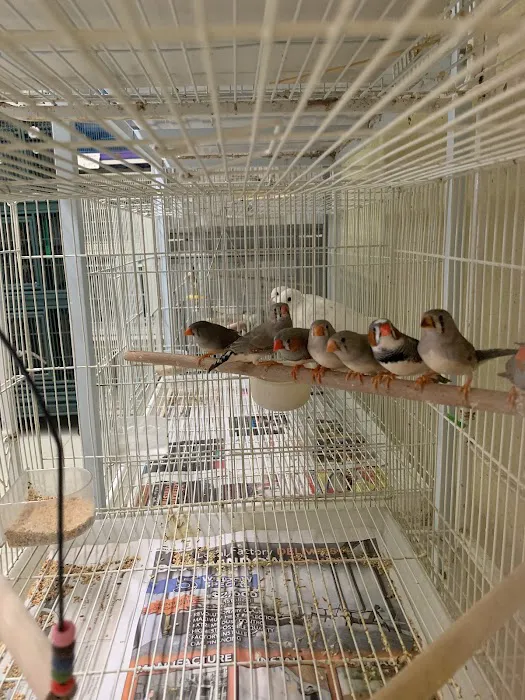 Birdz & Beyond Picture 1