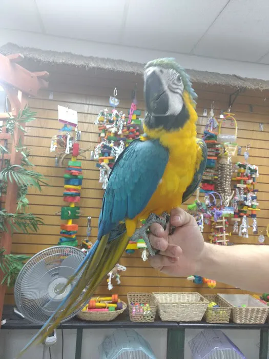 Birdz & Beyond Picture 7