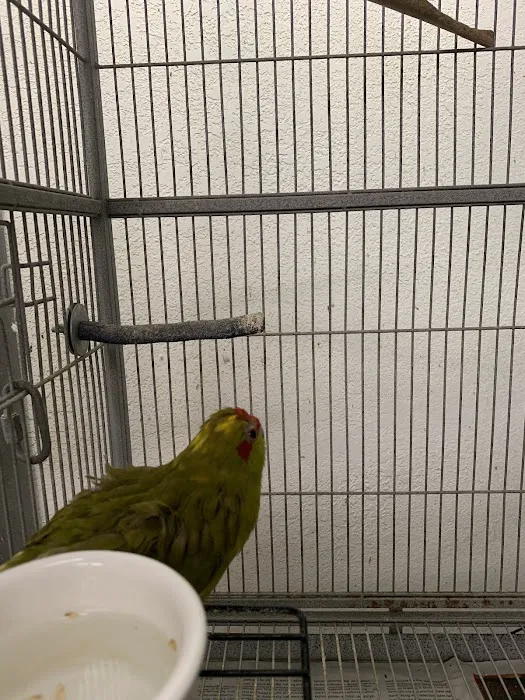 Birdz & Beyond Picture 3