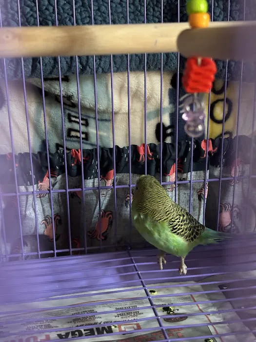 Birdz & Beyond Picture 5