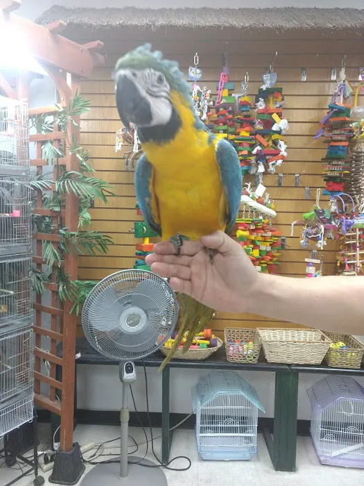 Birdz & Beyond Picture 8