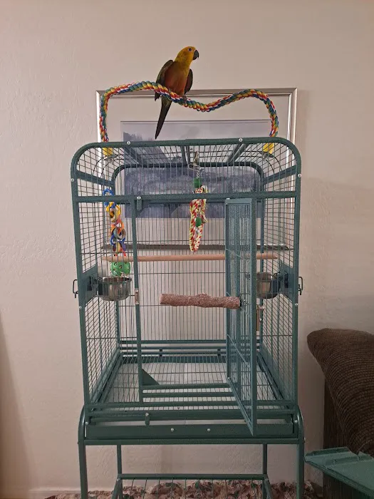Birdz & Beyond Picture 10