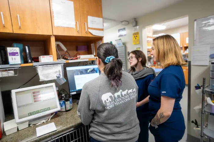 Santa Monica Pet Medical Center Picture 1