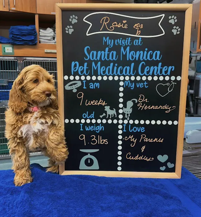 Santa Monica Pet Medical Center Picture 8