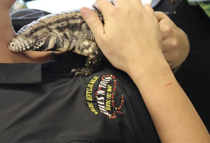 Scales 'N Tails Phoenix Central Picture 9