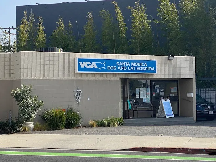 VCA Santa Monica Dog and Cat Hospital Picture 1