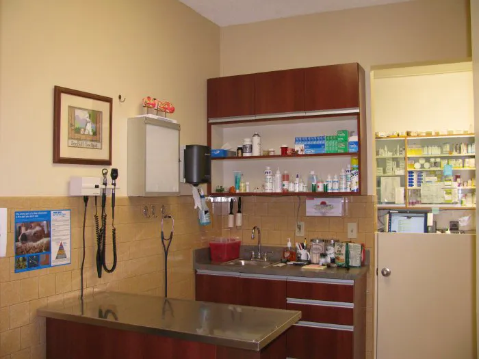 VCA Santa Monica Dog and Cat Hospital Picture 5
