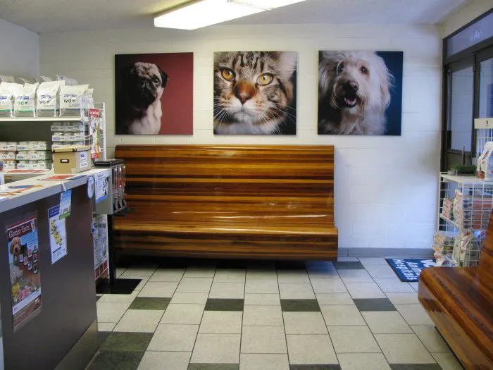 VCA Santa Monica Dog and Cat Hospital Picture 10