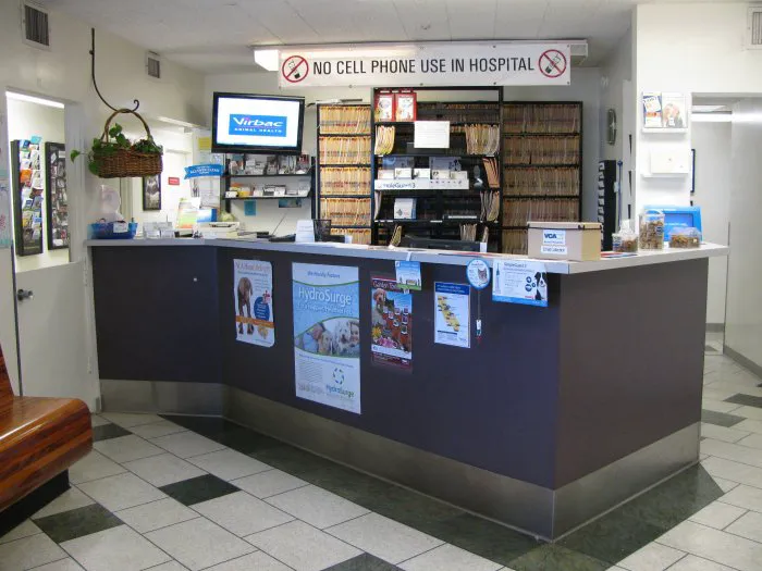 VCA Santa Monica Dog and Cat Hospital Picture 7