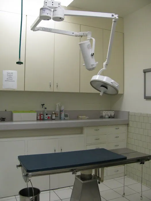 VCA Santa Monica Dog and Cat Hospital Picture 8
