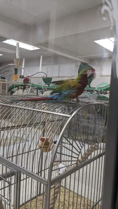 Arizona Bird Store Picture 3