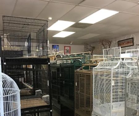 Arizona Bird Store