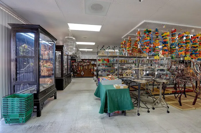 Arizona Bird Store Picture 8