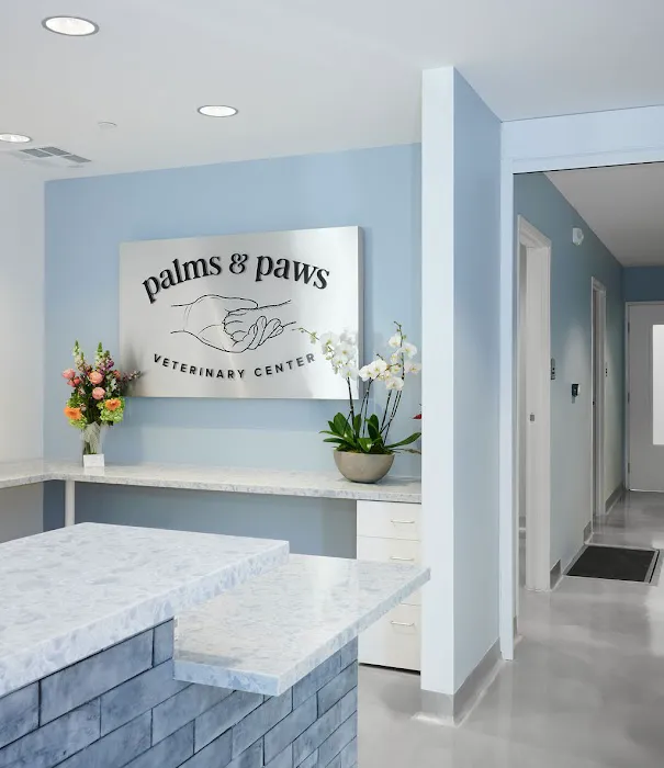 Palms & Paws Veterinary Center Picture 10