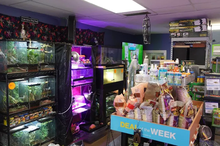 Supreme Exotics LLC - Coral's & Exotic Animal's Reptiles Picture 1