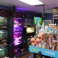 Supreme Exotics LLC - Coral's & Exotic Animal's Reptiles ico