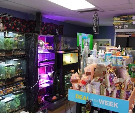 Supreme Exotics LLC - Coral's & Exotic Animal's Reptiles