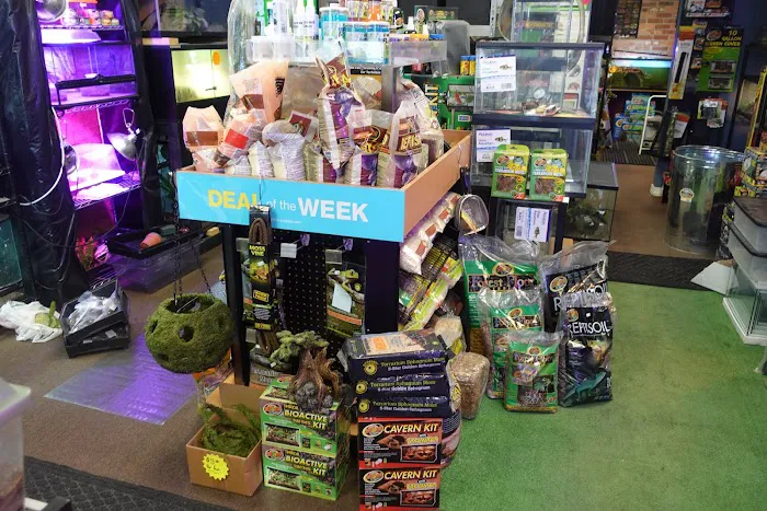 Supreme Exotics LLC - Coral's & Exotic Animal's Reptiles Picture 2
