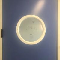 Modern Animal ico