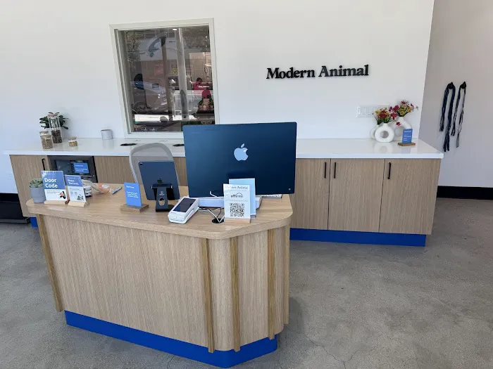 Modern Animal Picture 4