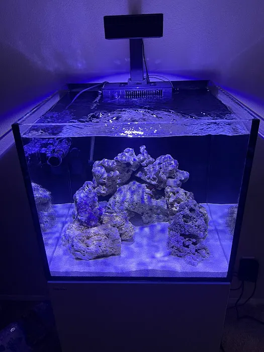 Aquaholic Aquariums LLC Picture 1