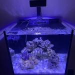 Aquaholic Aquariums LLC