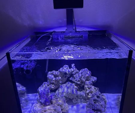 Aquaholic Aquariums LLC